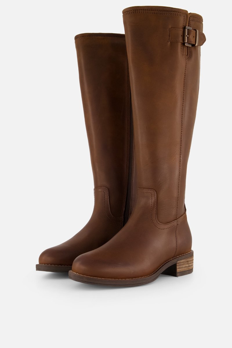 Cellini Hoge laarzen bruin Leer - Maat 36