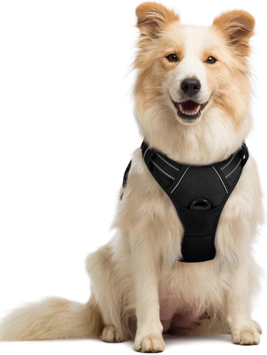 Gloovon® - Hondentuigje - Anti Trek Hondentuig met Hondenriem - Maat M - 53-71cm - Y Tuig Hond Verstelbaar - Hondenharnas - Hondentuigje Kleine Hond - Reflecterend - Zwart