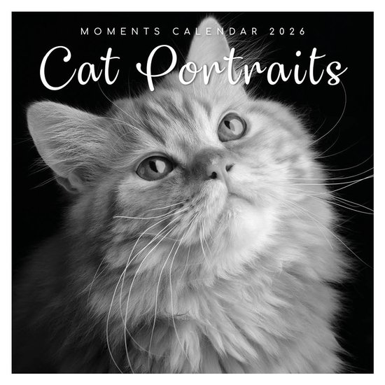 Foto: Cat portraits kalender 2026