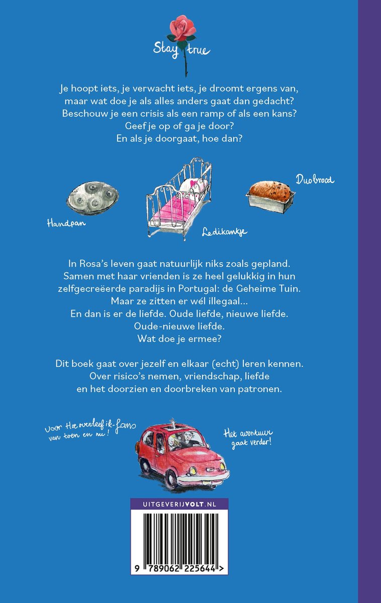 Hoe overleef ik alles wat anders gaat dan gedacht? - back cover