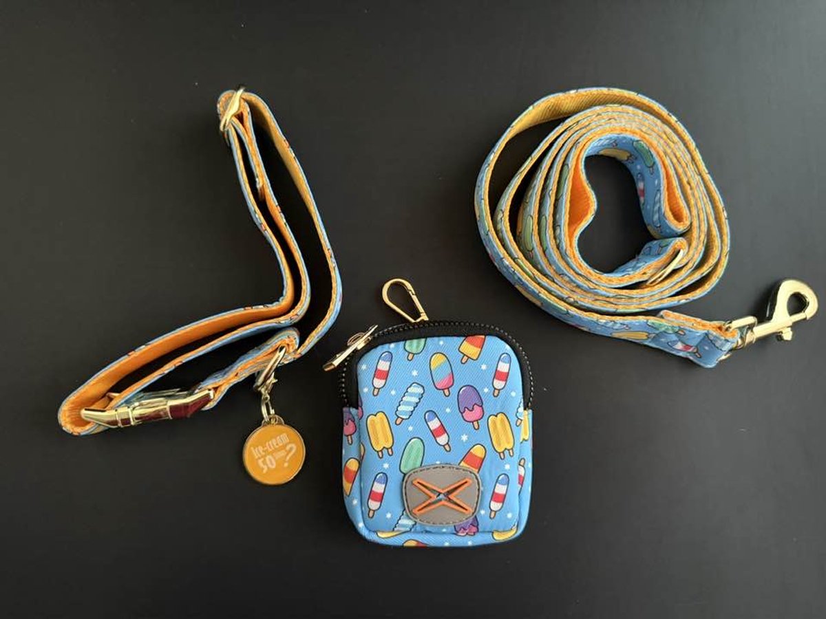 Halsband set 4-delig voor hond - blauwe hondenhalsband met ijsjes - L - halsomvang 38-63 cm - breedte 2,5 cm - metalen goudkleurige accessoires - dubbelzijdig bedrukt - halsband, riem, bijpassende sleutelhanger en poepzakjeshouder