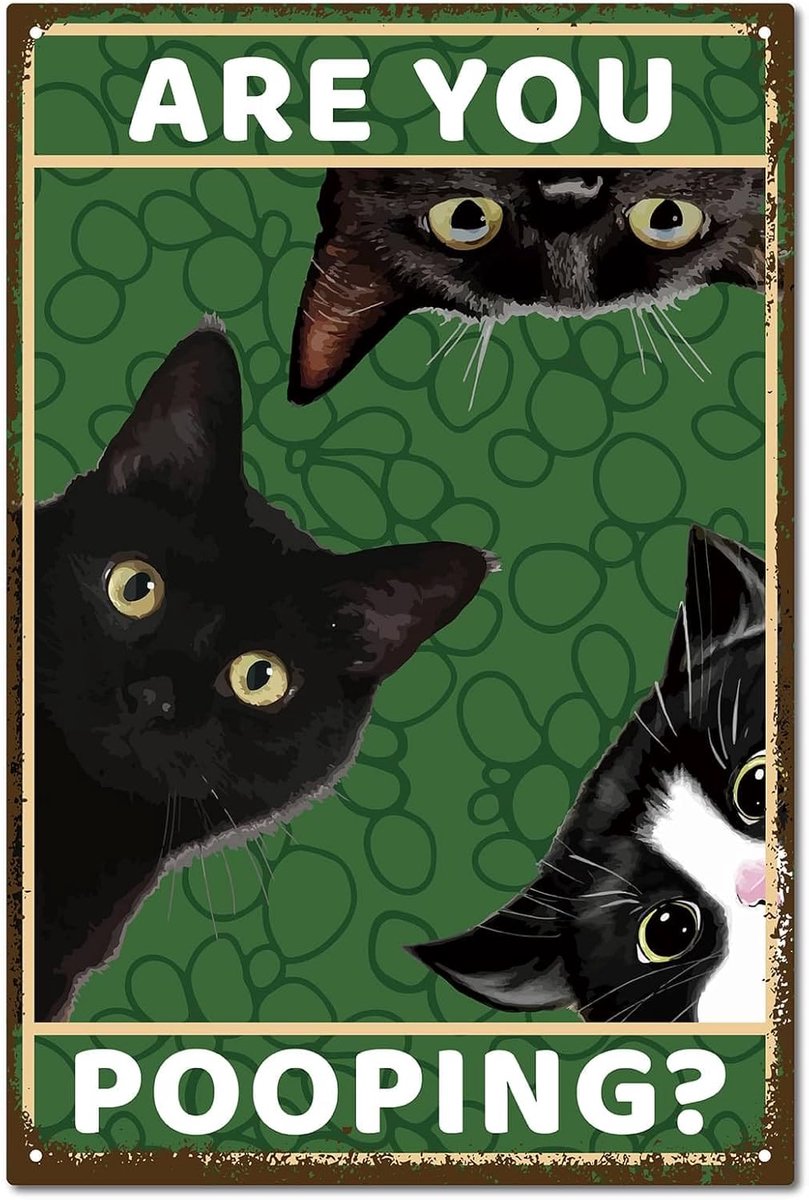 Black Cat Tin Sign - Vintage Metal Sign - Are You Pooping - Bathroom Poster - Retro Painti