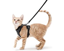 Top 10 kattentuigjes, kattenhalsbanden en riemen 2026: Kattenharnas met riem 150 cm maat S zwart