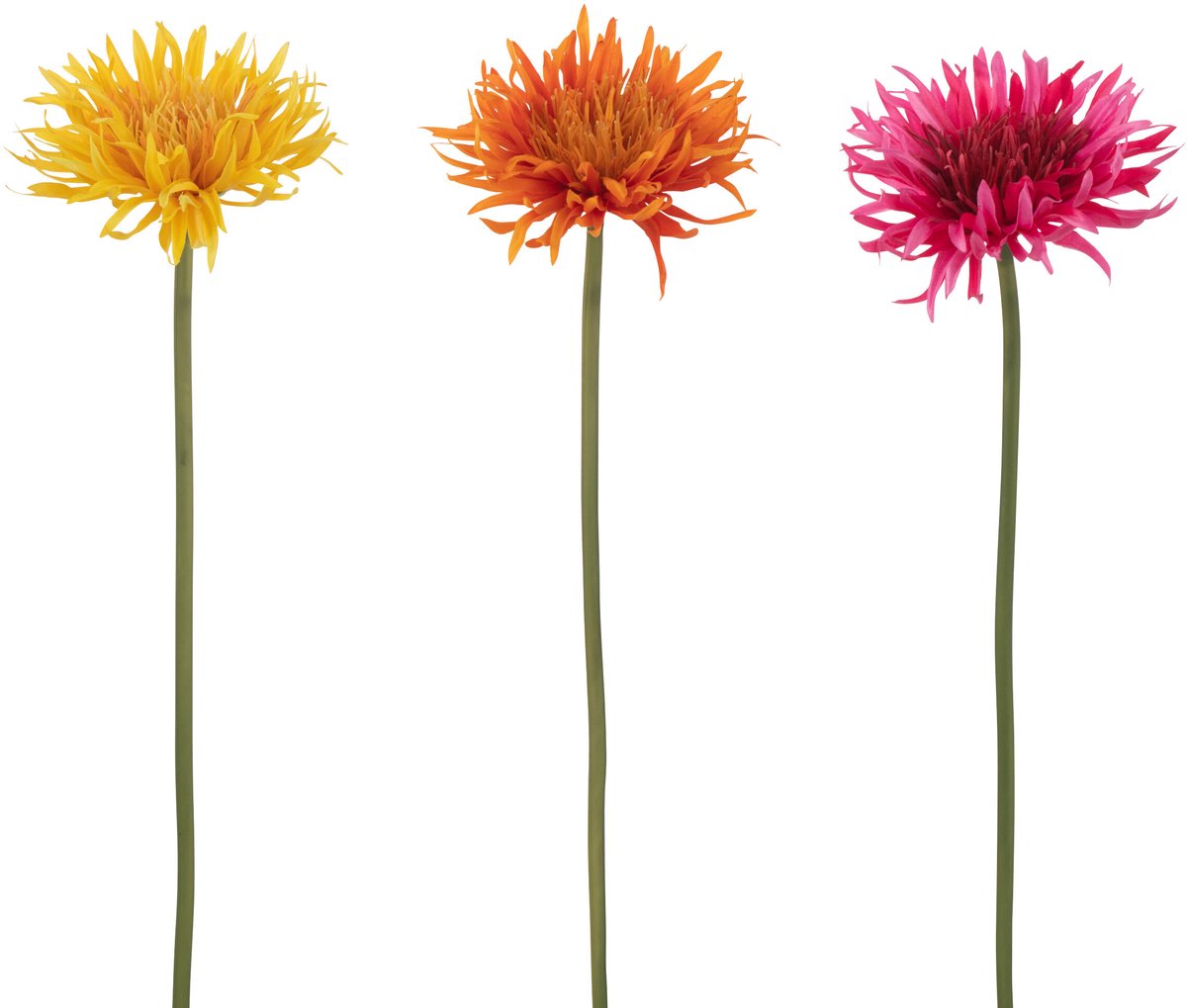 J-Line bloem Gerbera Madeliefje - kunststof - mix - 3 stuks Multi