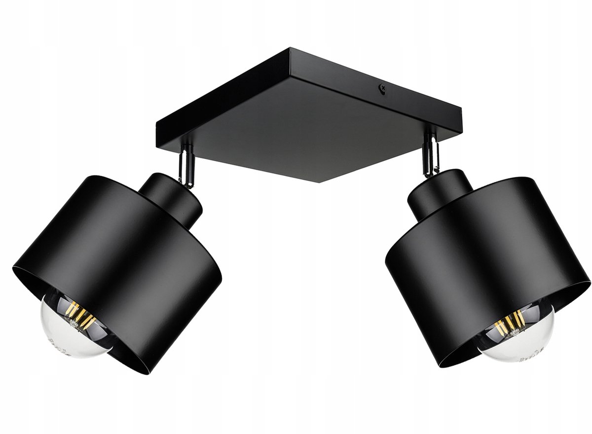 Hanglamp Loft Zwart Mat - 2x E27 Fitting