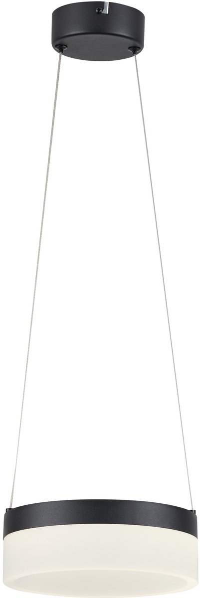 Reality Nicki Hanglamp Zwart LED 12W 4000K Modern