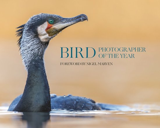Bird Photographer of the Year - cover
