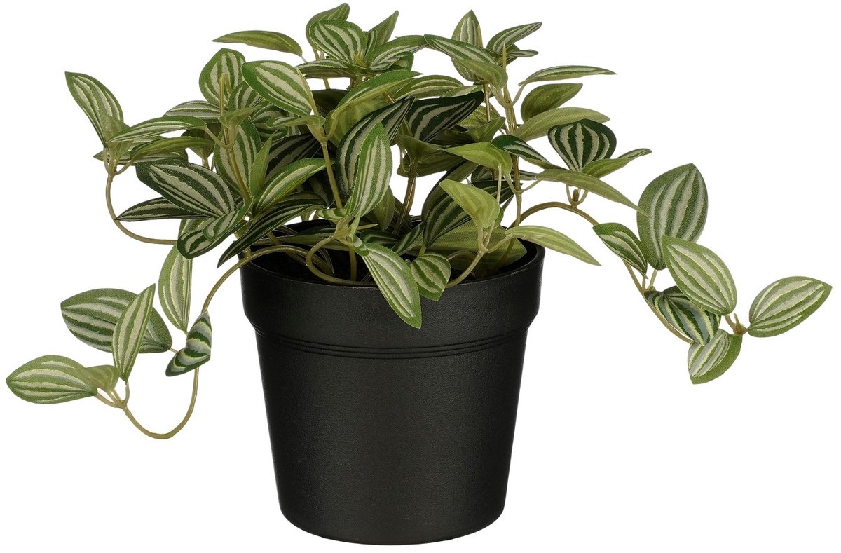 Mica Decorations Kunstplant mica tradescantia in pot 16x16cm | 6 stuks onbekend