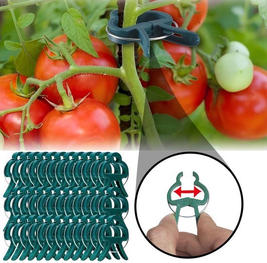 50 stuks - Tuinclips - Tomatenplantclips - Kunststofclips - Tuingereedschap Plantclips - Klein formaat - Groen van Merkloos	 — afbeelding 2