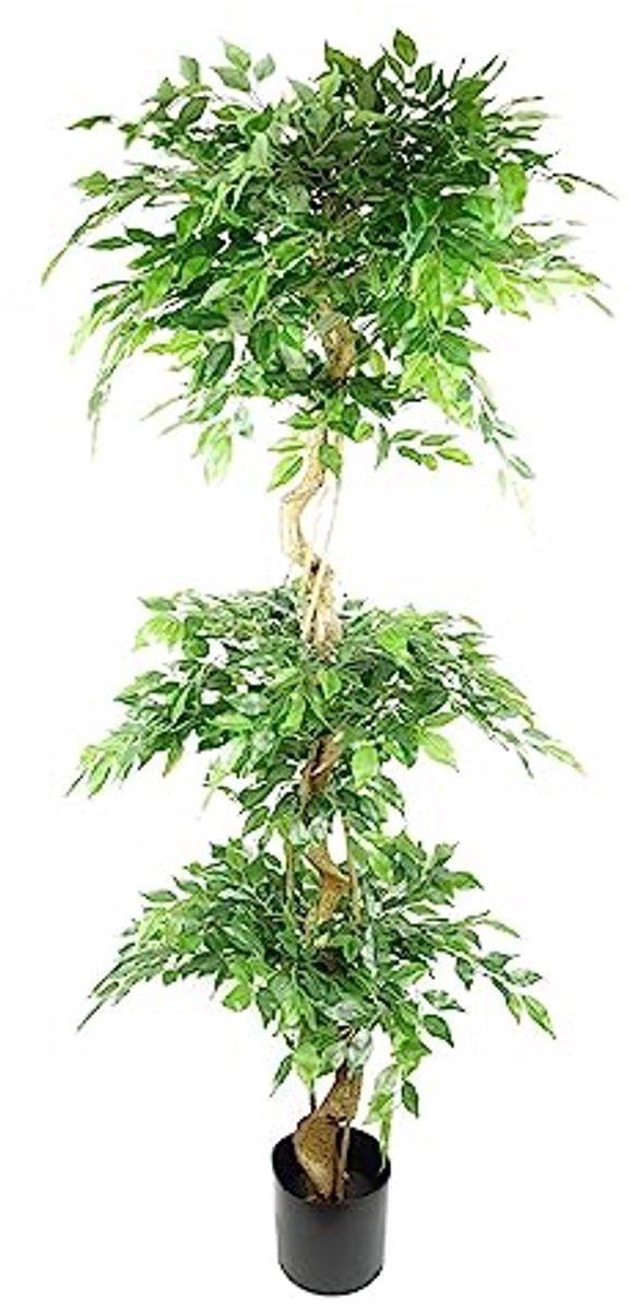Realistisch Kunst Ficus Boom 180cm Drievoudige Bol Topiary