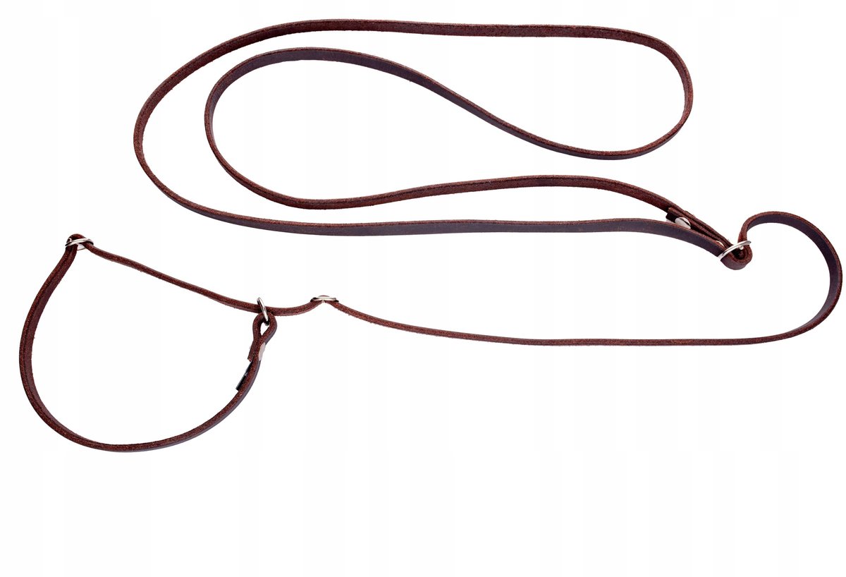 Leren Halsband en Lijn Combinatie - Verstelbaar & Duurzaam