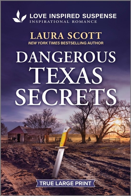 Texas Justice- Dangerous Texas Secrets - cover
