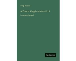 Al fronte; Maggio-ottobre 1915