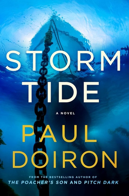 Mike Bowditch Mysteries- Storm Tide - cover