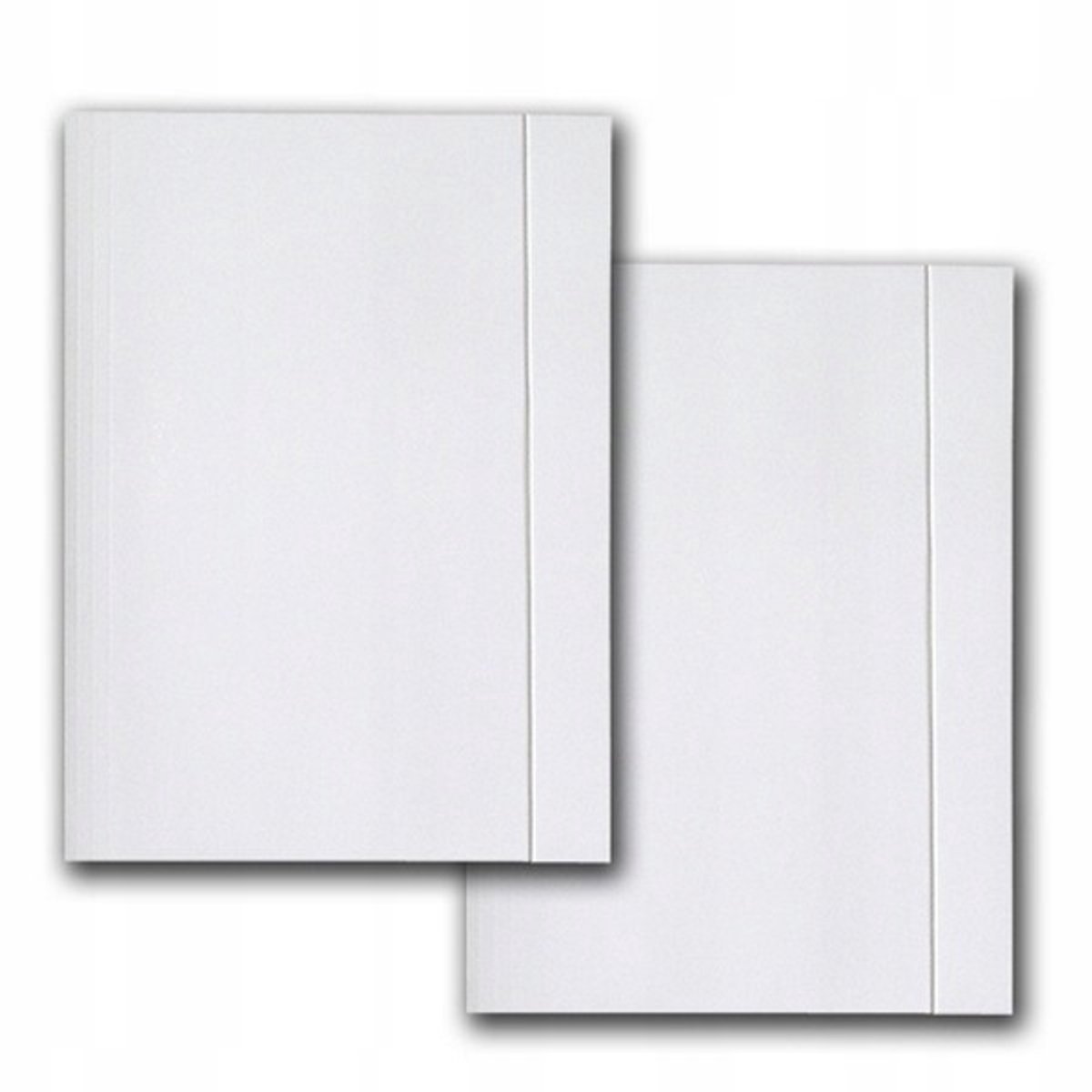 Kartonnen A4 map met elastiek, 350g, blanco