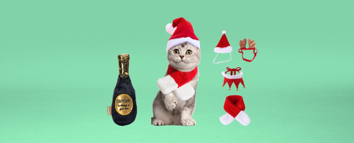 Kerst met je huisdier