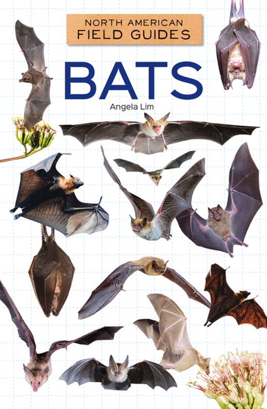 North American Field Guides Set 4- Bats | 9781098298944 | Angela Lim ...