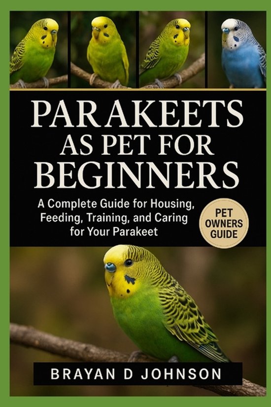Parakeets as Pet for Beginners