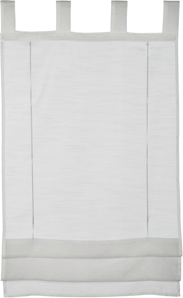 GARDINIA Vouwgordijn, transparante voile stof, lussen, wit, 90 x 140 cm