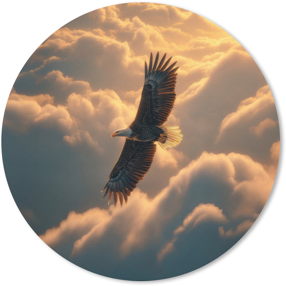 Muismat rond 40x40 cm - Mousepad Adelaar - Wolken - Zon - Ronde muismatten