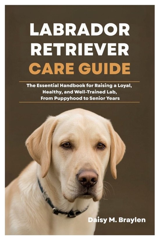 Labrador Retriever Care Guide