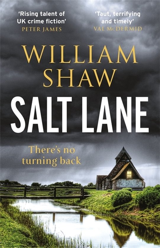 DS Alexandra Cupidi - Salt Lane - cover