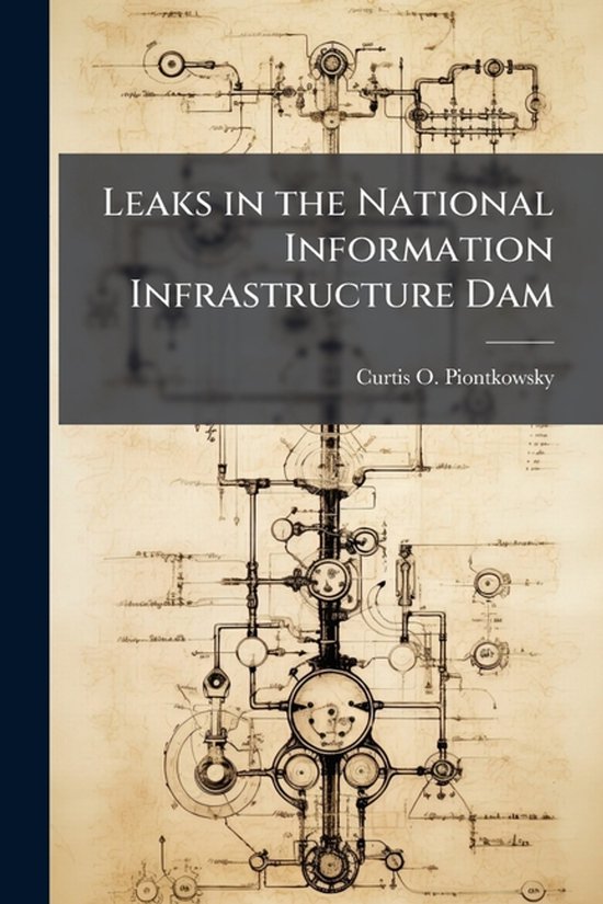 Leaks in the National Information Infrastructure Dam - cover