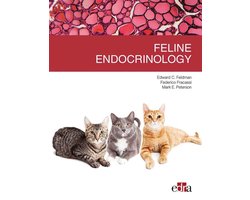 Feline endocrinology