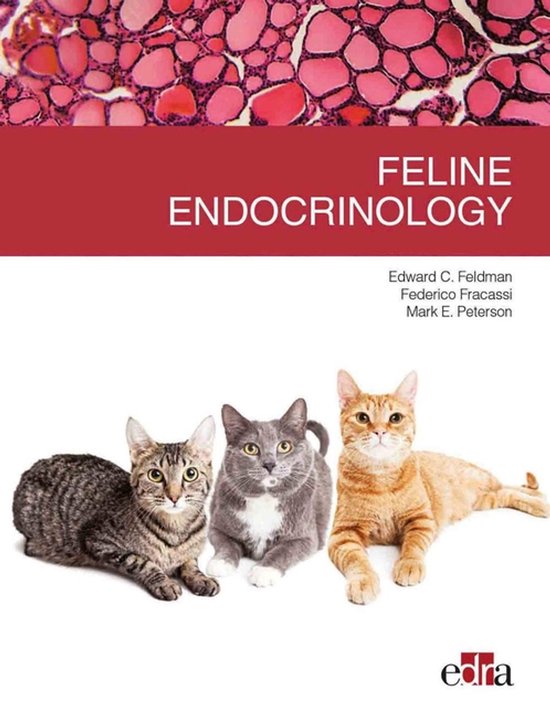 Feline endocrinology - cover