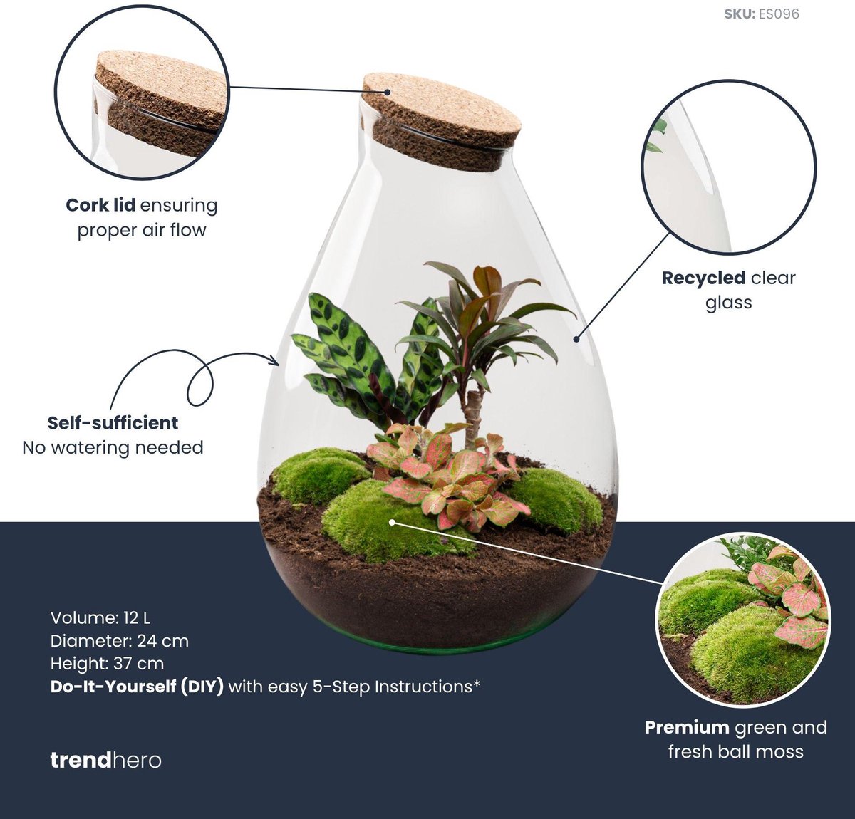 Terrarium - Drop XL Red - ↑ 37 cm - Ecosysteem plant - Kamerplanten - DIY planten terrarium - Mini ecosysteem