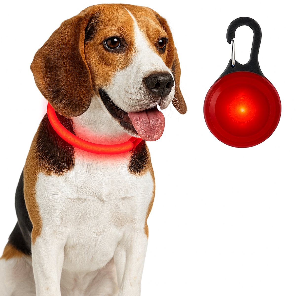 Professor Q - Led Halsband Rood S & Honden Lampje Rood Set