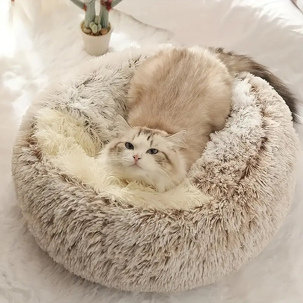 Cave kattenmand 60cm - kalmerend en angstverlichtend - voor kleine honden/katten - donut - bruin