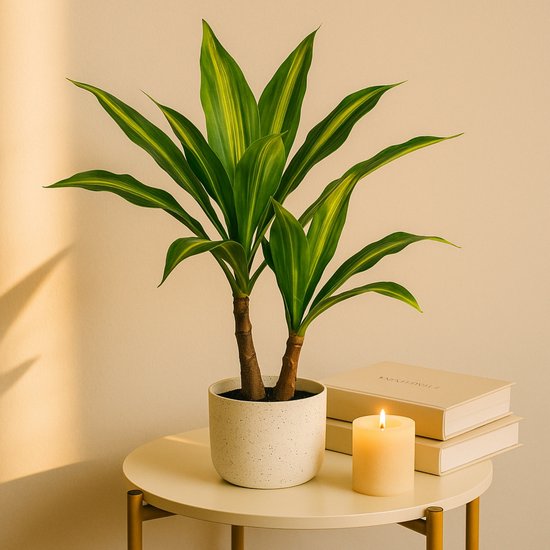 Kunstplant Dracaena Lemon Lime in witte pot, naast boeken en brandende kaars.