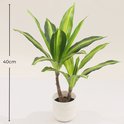 Kunstplant Dracaena Lemon Lime, 40cm hoog, in witte pot.