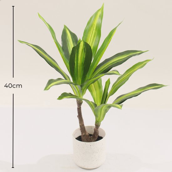 Kunstplant Dracaena Lemon Lime, 40cm hoog, in witte pot.