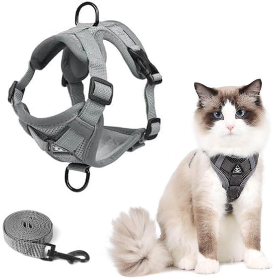 Kattentuigje of Kattenharnas kopen? Bekijk ons ruime aanbod
