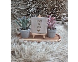 Robuust wenstegeltje – Trots op jou – Origineel cadeau & decoratie – Trendy nu – Decoratief Tegeltje met Standaard – Cadeau Idee