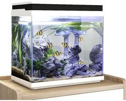AquaOne Aquarium complete set LED met pomp HNE-300 I Klein nano-aquarium 13 liter met filtersysteem I Mini nano-aquariumset voor vissen en garnalen