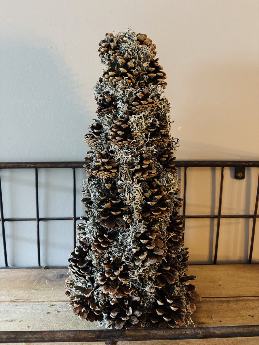 Kerstboom Dennenappel | Licht Grijs Mos | Couronne | Dennenappels | Kerstmis | Kerst | Naturel | Brown | Bruin | Woonboom | Woonaccessoires | Woonaccessoire | Woning | Woon | Sfeer | Interieur | Inrichting | Decoratief | Decoratie | Deco | Landelijk