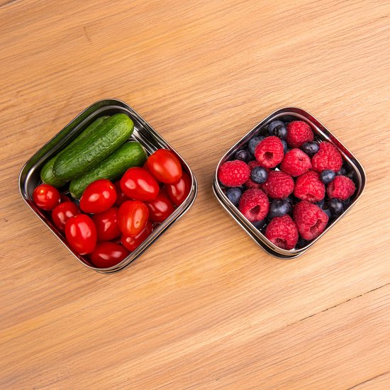 Bols à fruits de Luxe en acier inoxydable - Set de 2 - Boîtes à collation Bols à fruits en acier inoxydable - Enfants - Sans BPA - Talli - Bol à fruits scolaire - Boîte à collation enfant - Boîte à fruits