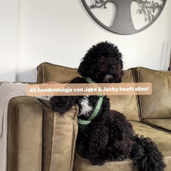 Jake and Jacky Hondentuigje Grote Honden - Anti-Trek Tuig - Y Tuig Hond - Hondenharnas - Groen - Maat L