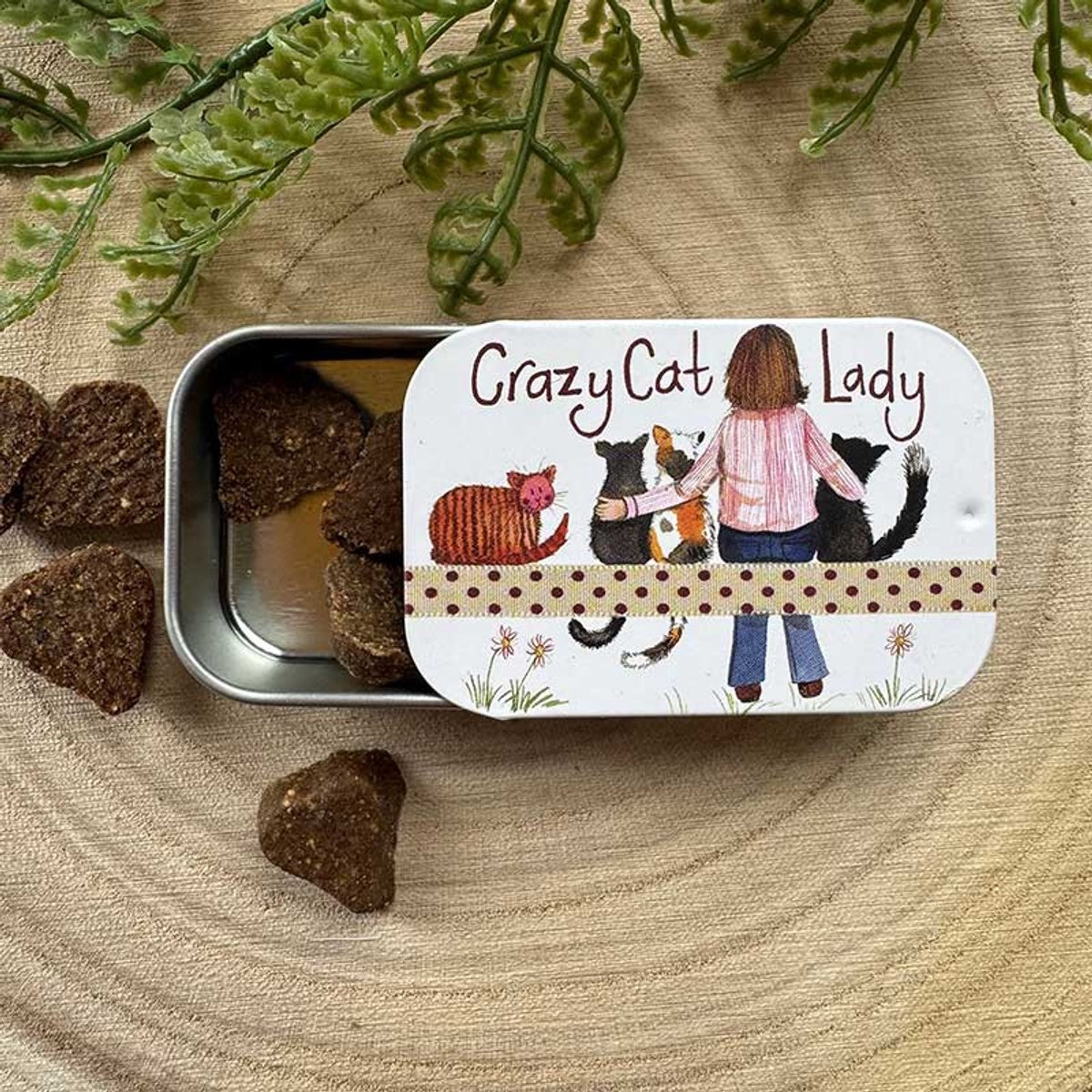 Alex Clark Sliding little Tin Crazy Cat Lady ~ Langwerpig klein opbergblikje Katten