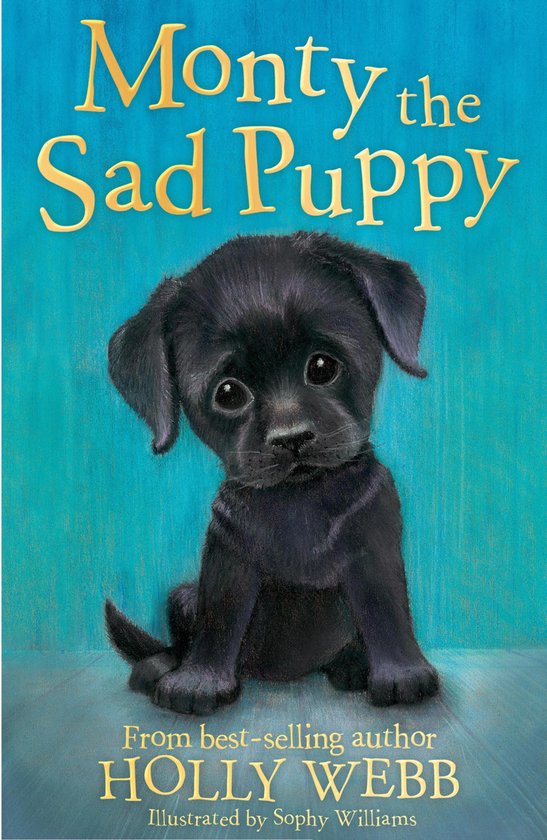 Holly Webb Animal Stories 35 - Monty the Sad Puppy - cover