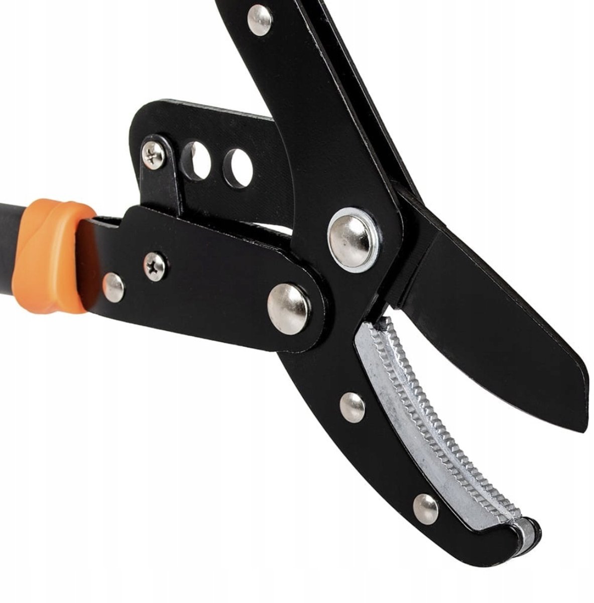 Fiskars Sécateur à enclume robuste - Capacité de coupe 50mm