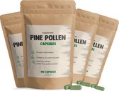 Cupplement Pine pollen 500mg Combideal 4x 100 Capsules - Dennenpollen – Weerstand