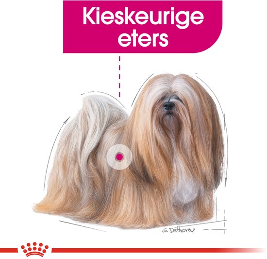 Illustratie van een langharige hond met markeringen en de tekst 'Kieskeurige eters'.