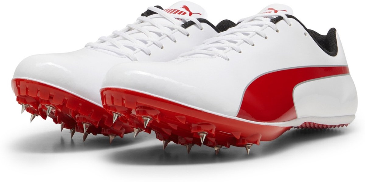Puma Schuhe Low evoSPEED Sprint 14.5 310706 Puma -Puma -Puma -38 5 Zilver