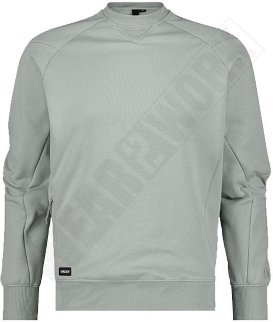 Lichtgrijze sweater, voorkant. V-hals met versteviging. Grijze ritsdetails op de mouwen. Label 'DASSY' op de voorkant.