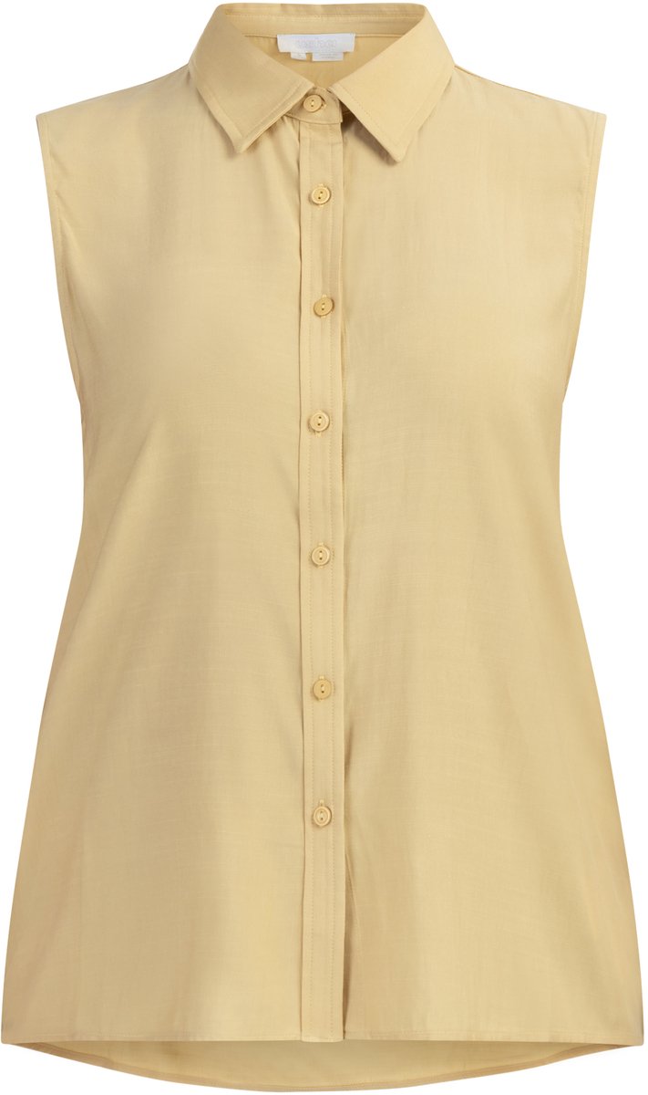 usha Blouse top