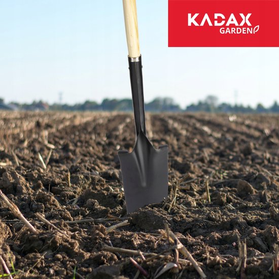 KADAX Spade, drainagespade met D-handgreep, schep van staal, punt schep met steel van hout, tuinspade voor het graven van gaten graven, planten van bomen, struiken (120 cm) van KADAX — afbeelding 4